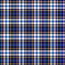 B484C Blue Plaid