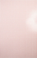 GW-1758C Pink and Blue Gingham